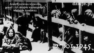 70 rocznica wyzwolenia niemieckiego obozu KL Auschwitz FOTOKAST [upl. by Branscum]