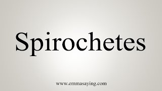 How To Say Spirochetes [upl. by Mairam416]