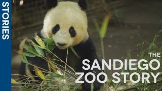 The San Diego Zoo amp Hootsuite  Social Media Brings the Zoo to You [upl. by Lisbeth]