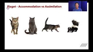 Lecture73  Generalization amp Discrimination [upl. by Anival]