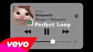 Beluga  Belupacito perfect loop Only the good part HD [upl. by Nolie]