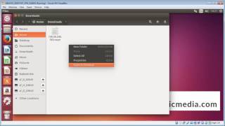 Connect VPN using OpenVPN on Ubuntu or Debian Linux [upl. by Liatnahs]