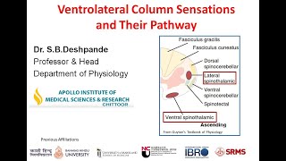 Physiology of Ventrolateral Column Sensations by SB Deshpande [upl. by Meehan287]