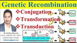 Conjugation transformation transduction Genetic recombination or Sexual reproduction in Bacteria [upl. by Breana]