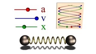 352  Oscillation of two balls bound with a spring [upl. by Nauqed]