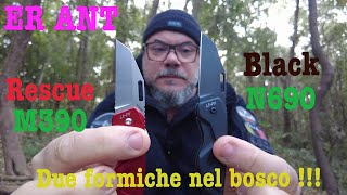 ANT Balck e Rescue due Formiche nel Bosco [upl. by Lanza]