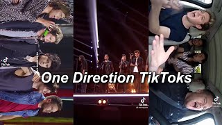 One Direction Tiktok Compilation [upl. by Attolrac994]