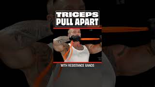 Build Bigger Arms with Resistance Bands  Triceps Pull Apart [upl. by Eberly893]