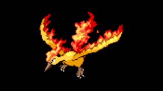 Pokemon Cries  146 Moltres [upl. by Ewell]