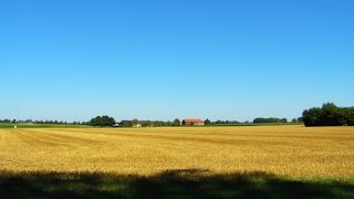 Weerbericht donderdagochtend Zonnig en tropisch warm [upl. by Ludly]