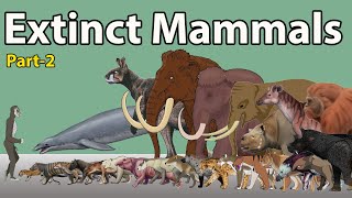 Massive Extinct Mammals Size Comparison 2024  Extinct Mammals Size Comparison 2024 part2 [upl. by Jessy304]