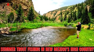 Summer Trout Fishing in the New Mexico High Country [upl. by Liu787]