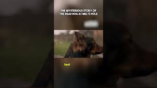 The Mysterious Story of the Dead Dog at Mels Hole jameswebtelescope discovery nasa [upl. by Loar]