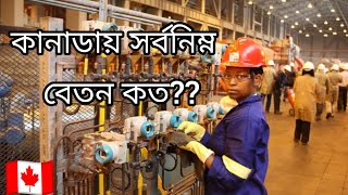 কানাডায় সর্বনিম্ন বেতন কত।। Minimum wage in Canada ।। [upl. by Landre]