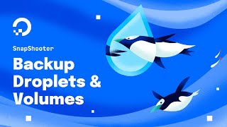 DigitalOcean Droplets and Volumes Backups with SnapShooter [upl. by Trevethick]