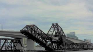 FEC Strauss Trunnion Bascule Bridge [upl. by Anibas]