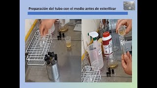 Preparación del medio de acultivo agar de papa y dextrosa [upl. by Bogusz]