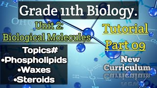 Phospholipids Waxes Steroids Class 11Biology Unit2 Biological Molecules Part9 [upl. by Essirehs238]