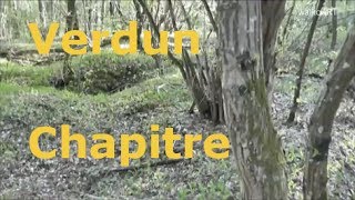 Verdun WW1 1916today heute Bois de Vaux Chapitre Chapitrewald Battlefield Spurensuche Tracing [upl. by Aivatal]