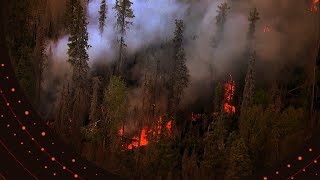 Feux de forêt  la situation se stabilise sur la CôteNord [upl. by Gaeta882]