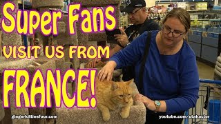 Superfans Visit PetSmart With Zeus amp Phoebe [upl. by Onin]