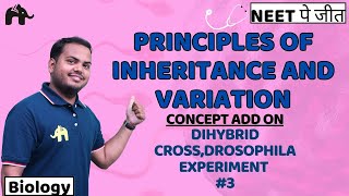 Principles of Inheritance amp Variation Class 12 Biology NEET Chap 4  Dihybrid Cross Drosophila 3 [upl. by Stalk315]