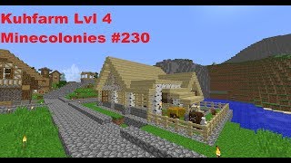 Kuhfarm Lvl 4 Minecolonies 230 Lets play Minecraft germandeutsch [upl. by Topliffe848]