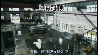 Dilong Powder Drying Epoxy Curing Thick Film Drying Equipment [upl. by Lednic]