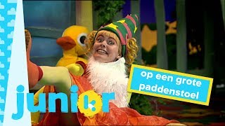 Kinderliedjes  Kaatje zingt Op een grote paddenstoel [upl. by Eceirehs]