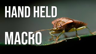 Gentle woodland macro photography easy handheld flash lighting tutorial [upl. by Maclean]