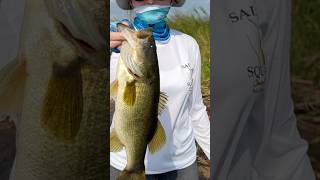 Fishing LAKE OKEECHOBEE [upl. by Ridley]