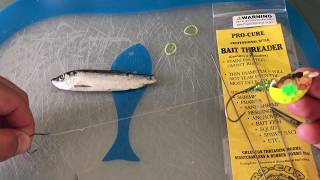 Chinook SalmonSteelHead Sliding Mooching RIG Super Easy [upl. by Granville]