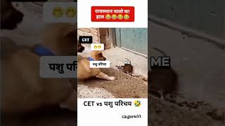 CET Vs पशु परिचर exam taiyari Rajasthan 🤣😂 CET exam 2024 cetexam2024 cet cetexam cet2024shorts [upl. by Ruthanne603]