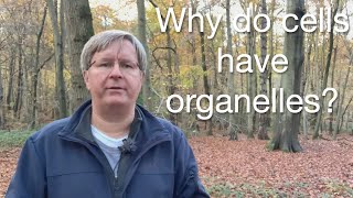 An introduction to cell organelles  why do cells have organelles [upl. by Adnoryt482]