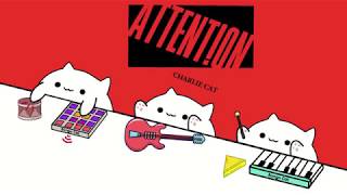 Bongo Cat  Attention  Charlie Cat [upl. by Isolda]