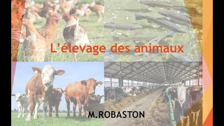 6ème Lélevage des animaux SVT [upl. by Lasley]