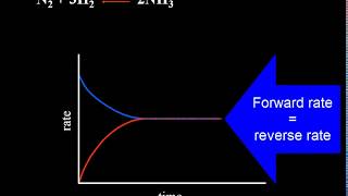 Chemical Equilibrium Explained  Video Tutorial  Crash Chemistry Academy [upl. by Hnamik380]