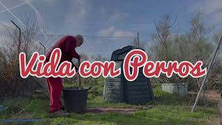 ¿Hacer compost a partir de las heces del perro ¿Es posible [upl. by Corinne]