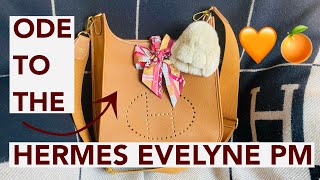 ODE TO THE HERMES EVELYNE PM 👀🍊🧡 Best hermes starter bag Is it for you review [upl. by Tavia]