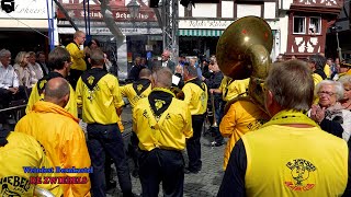 Boerenkapel De Zwiebels auf dem Weinfest in Bernkastel [upl. by Zacharias]