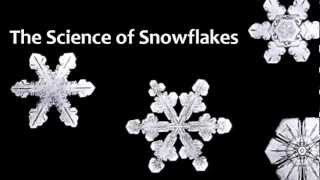 The Science of Snowflakes [upl. by Dene185]