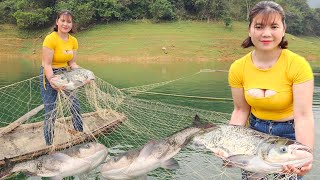 The girl spreads a net overnight to catch big fish living alone on the lake [upl. by Nelli543]