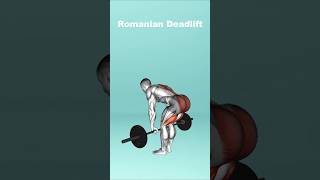 FULL BODY WORKOUT AT GYM workout gym fulbodyworkout romaniandeadlifts sports shorts exercise [upl. by Nedrud501]