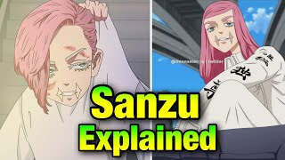 Sanzu Haruchiyo Explained Tokyo Revengers English [upl. by Imorej]