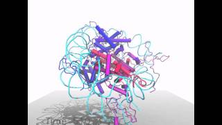 1 microsecond MD simulations of nucleosome PDB 1kx5 [upl. by Orsa]