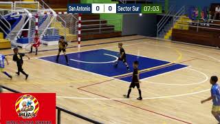 Juegos Comunales Futsala Purrujas  San Antonio vs Sector Sur [upl. by Durtschi131]