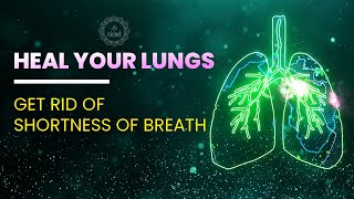 Heal Your Lungs  Get Rid Of Shortness Of Breath Coughing Allergies Infections amp Fatigue  528 Hz [upl. by Madelaine]