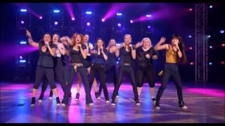 Pitch Perfect  No diggity [upl. by Ahsinrad451]