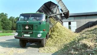 DDR Landmaschinen IFA W 50 LAZ in der Maisernte [upl. by Nel]