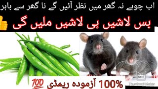 Chuhe baghane ka tarika  Get rid of mouse Rat killer trick rat killer RemedylifeHacktips100wOrk [upl. by Annaierb141]